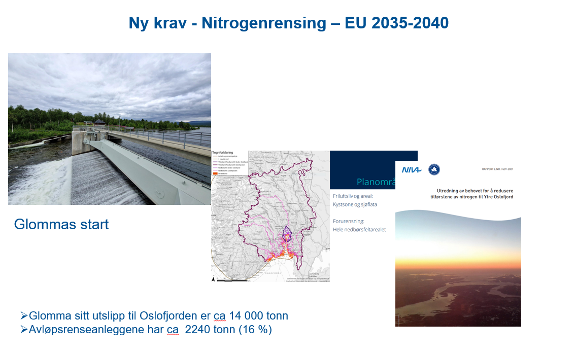 Nitrogen%20bilde%201